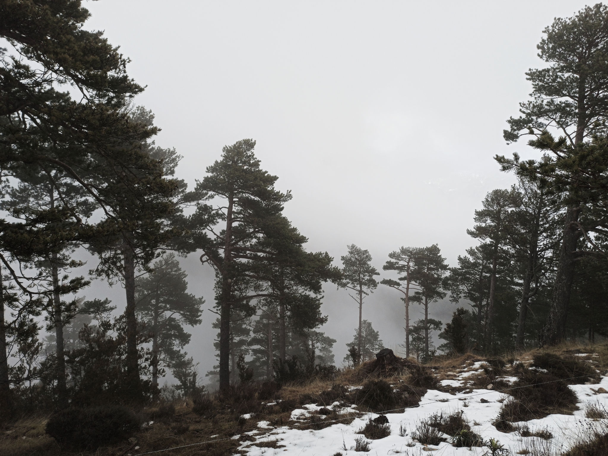 Cordera Road 2020. Pirineos